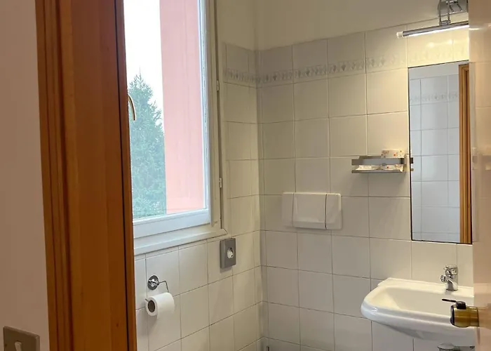 Al Gallo Trattoria E 3* Alfonsine